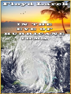 cover image of In the Eye of Hurricane Irma